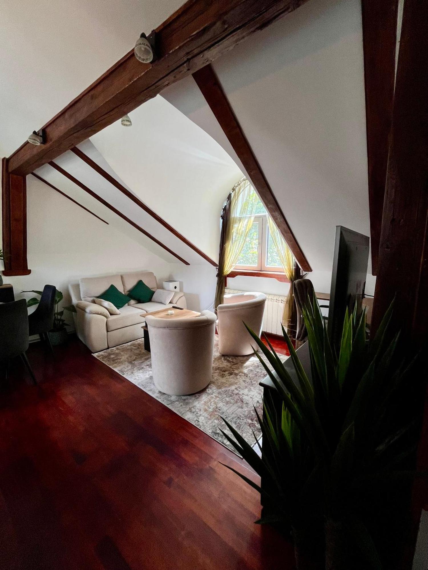 Urban Oasis Apartment Belgrade Exterior photo